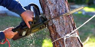 Best Soil Testing and Treatment  in Sargent, TX