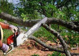 Best Organic Lawn Care Solutions  in Sargent, TX